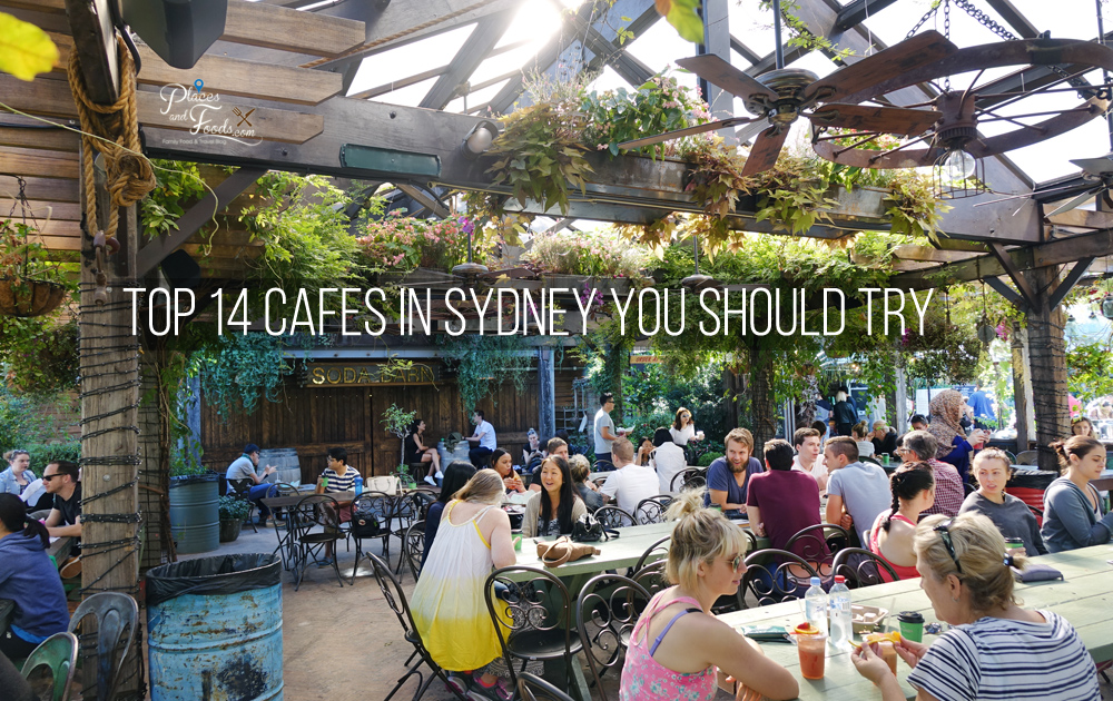 top-14-cafes-in-sydney-you-should-try