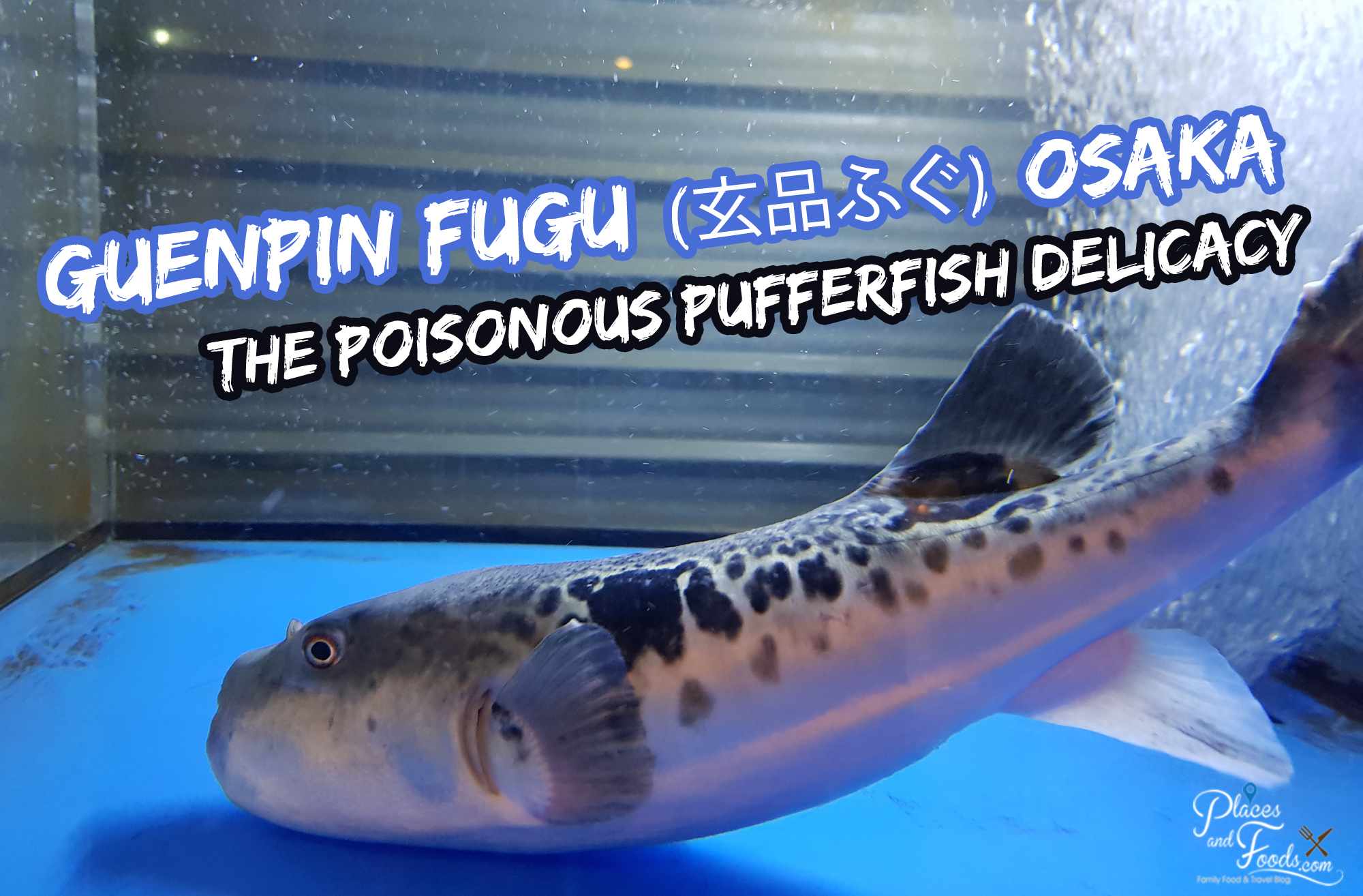 fugu fish poison