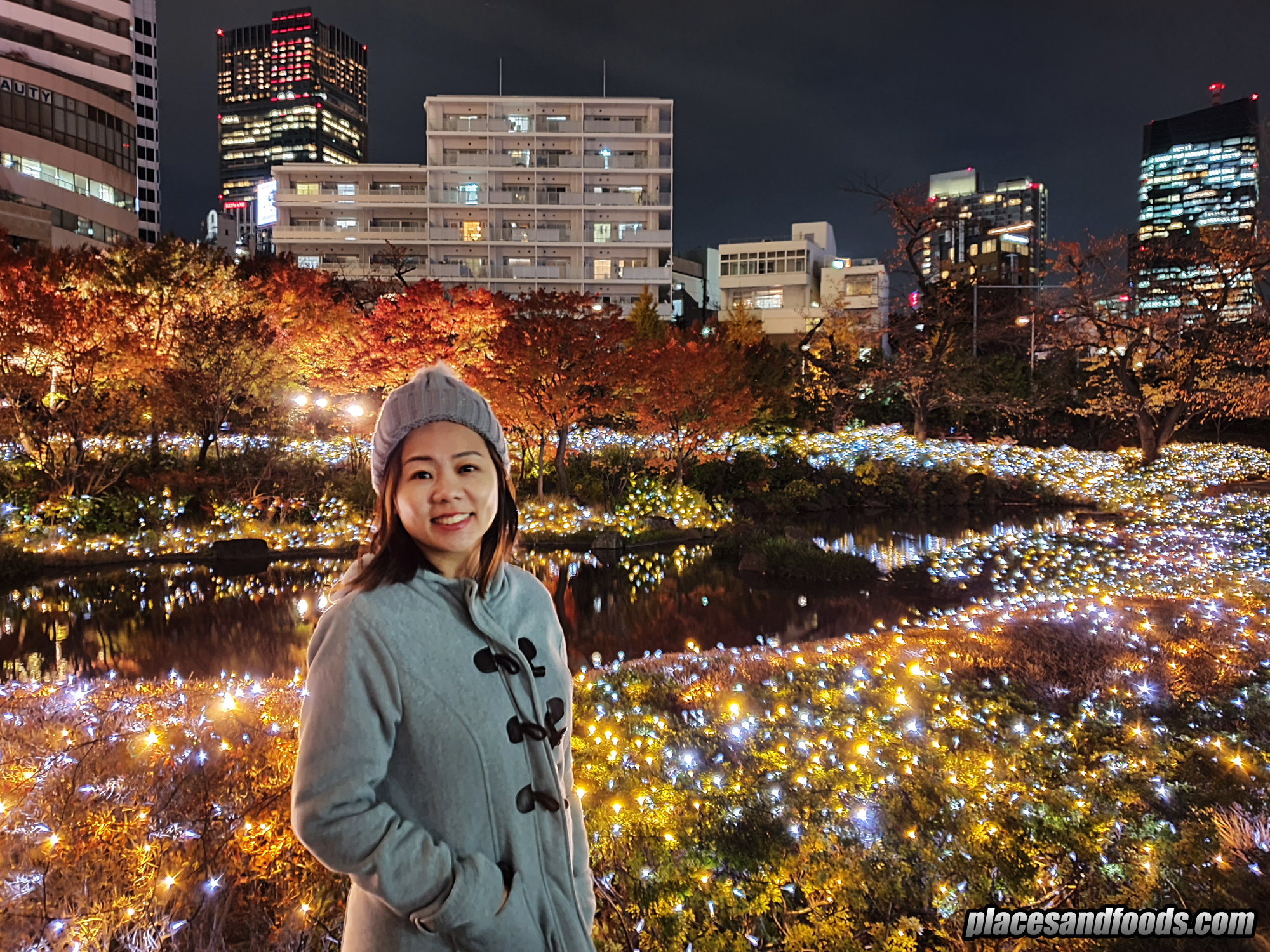 Tokyo Roppongi Hills Mori Garden Christmas Illumination 2019