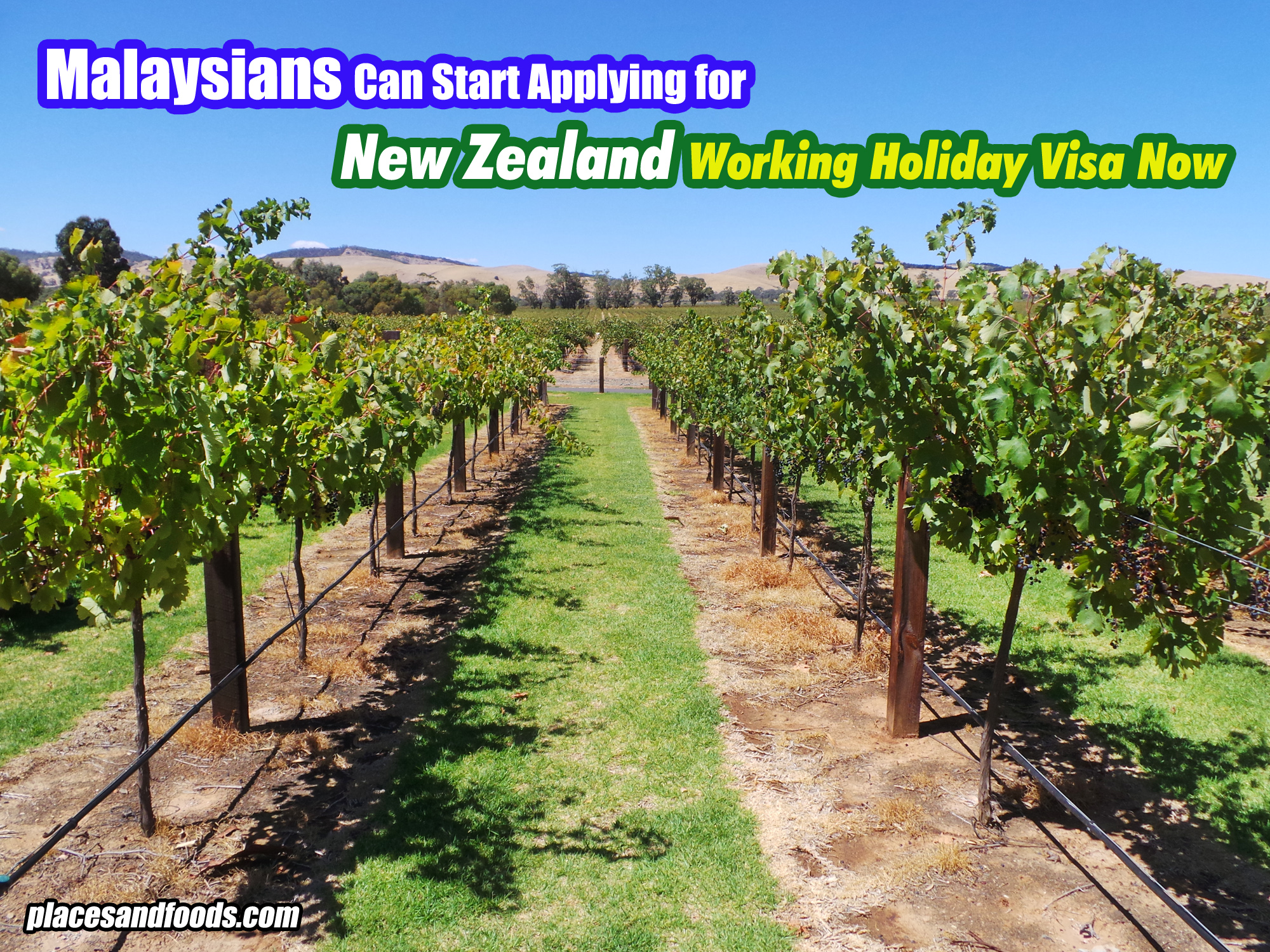 Malaysians Can Start Applying For New Zealand Working Holiday Visa Now